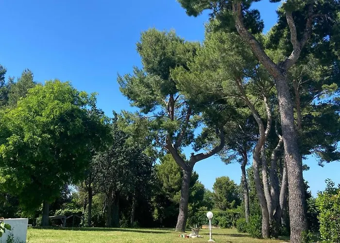 Bed & Breakfast Casa Camilluccia Misano Adriatico