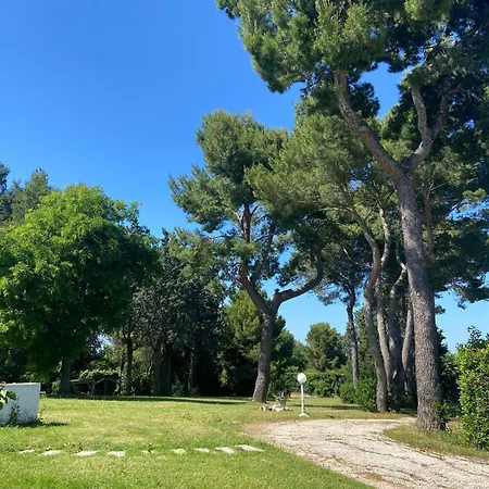 Bed & Breakfast Casa Camilluccia Misano Adriatico